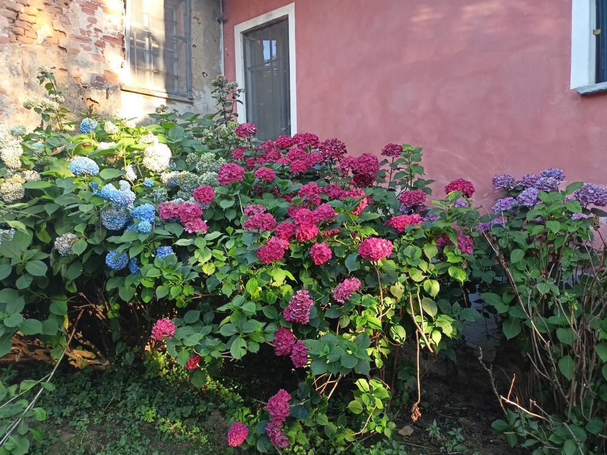A Romantic Suite In The Countryside Near Torino Pecetto Екстериор снимка